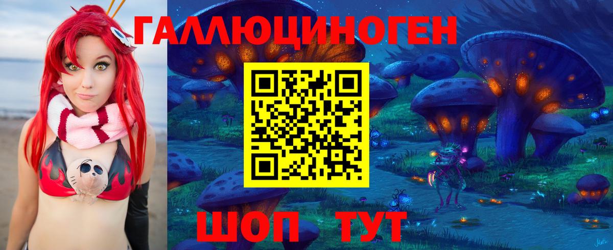 Галлюциногенные грибы Cubensis Кимры
