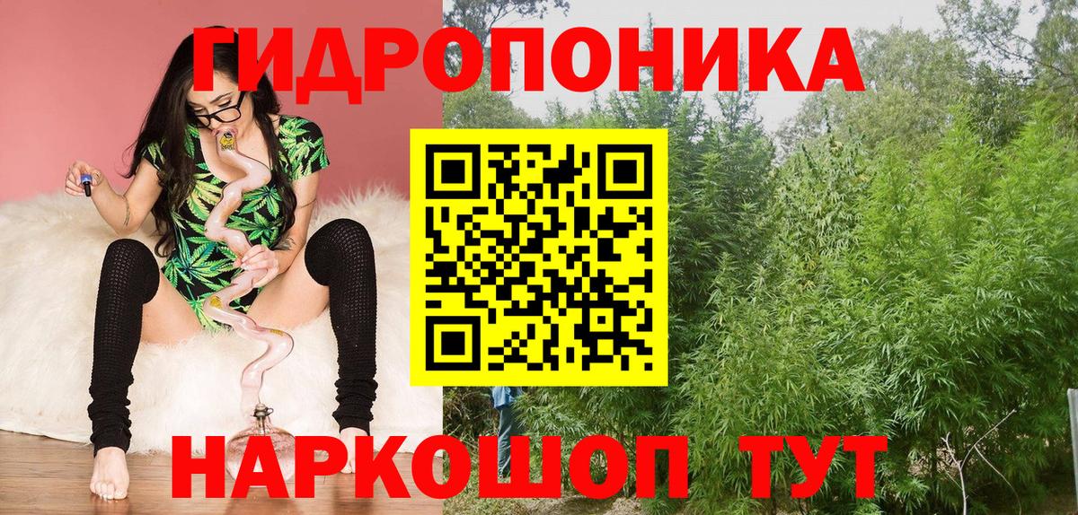 Бошки марихуана ГИДРОПОН Кимры